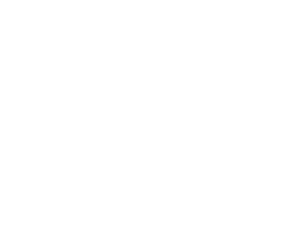 thekeys-conciergerie.com